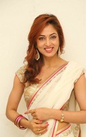 Vidisha in Saree Stills
